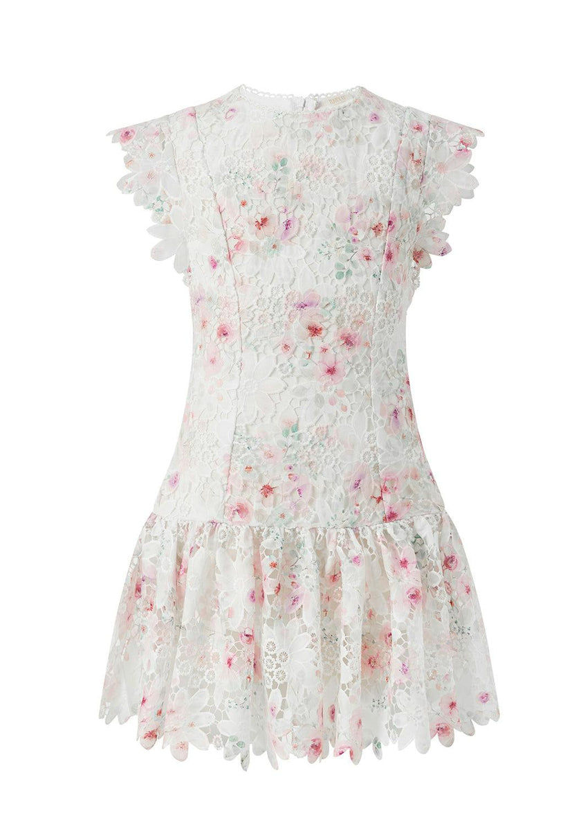 Belle Embroidered Mini Dress