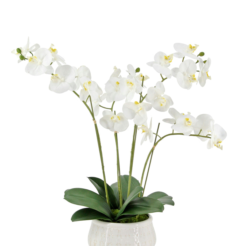 Artificial 4-Stem Phalaenopsis White Orchid