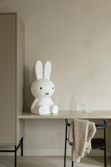 Mr Maria Miffy Lights