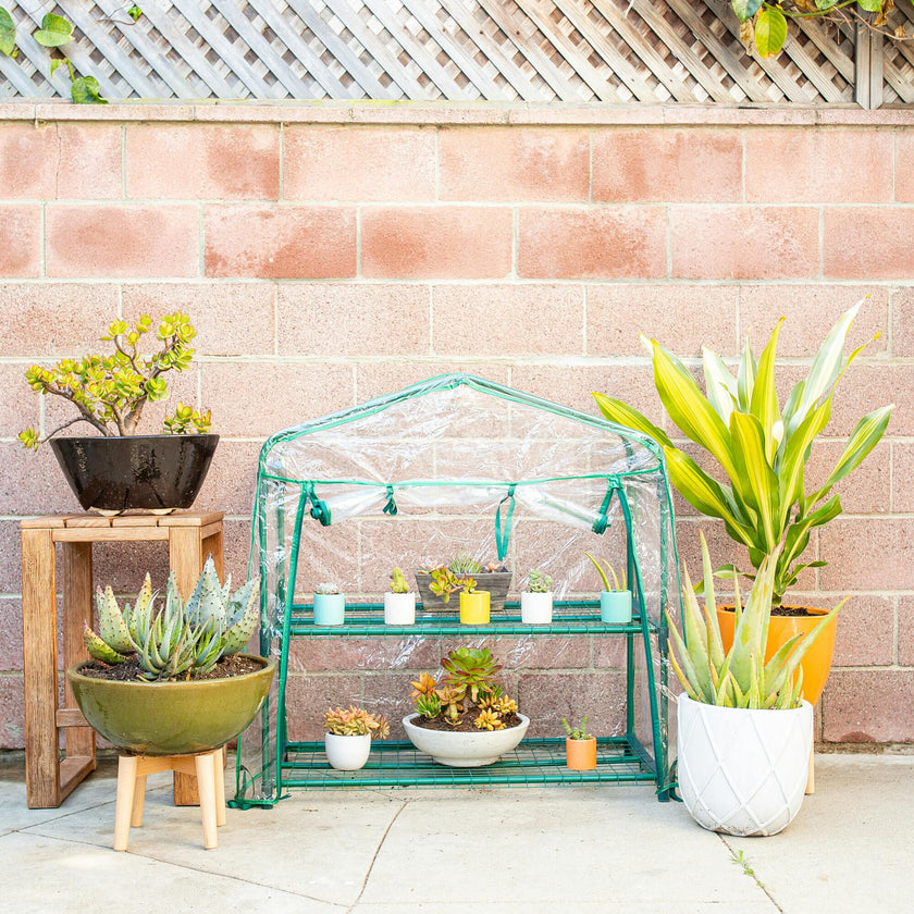 GreenThumb Classroom Greenhouse