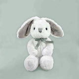 Personalized Little Grey Welcome Baby Hamper