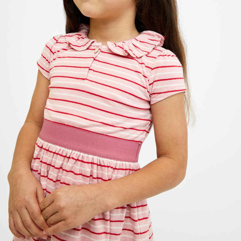 Allegra Dress, Petal Mini Stripe
