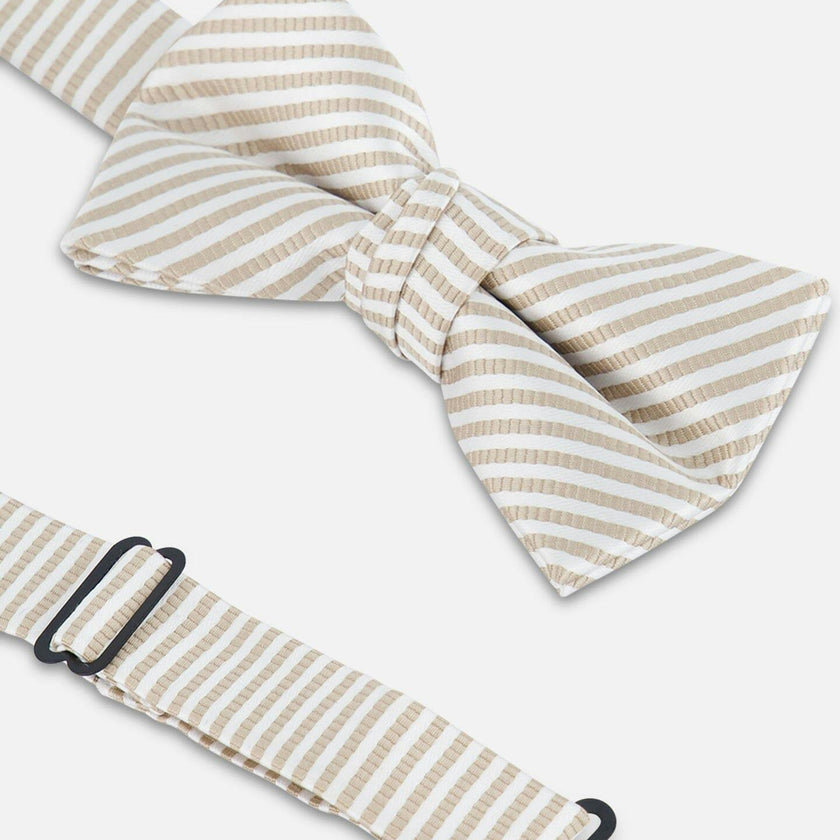 Bow Tie