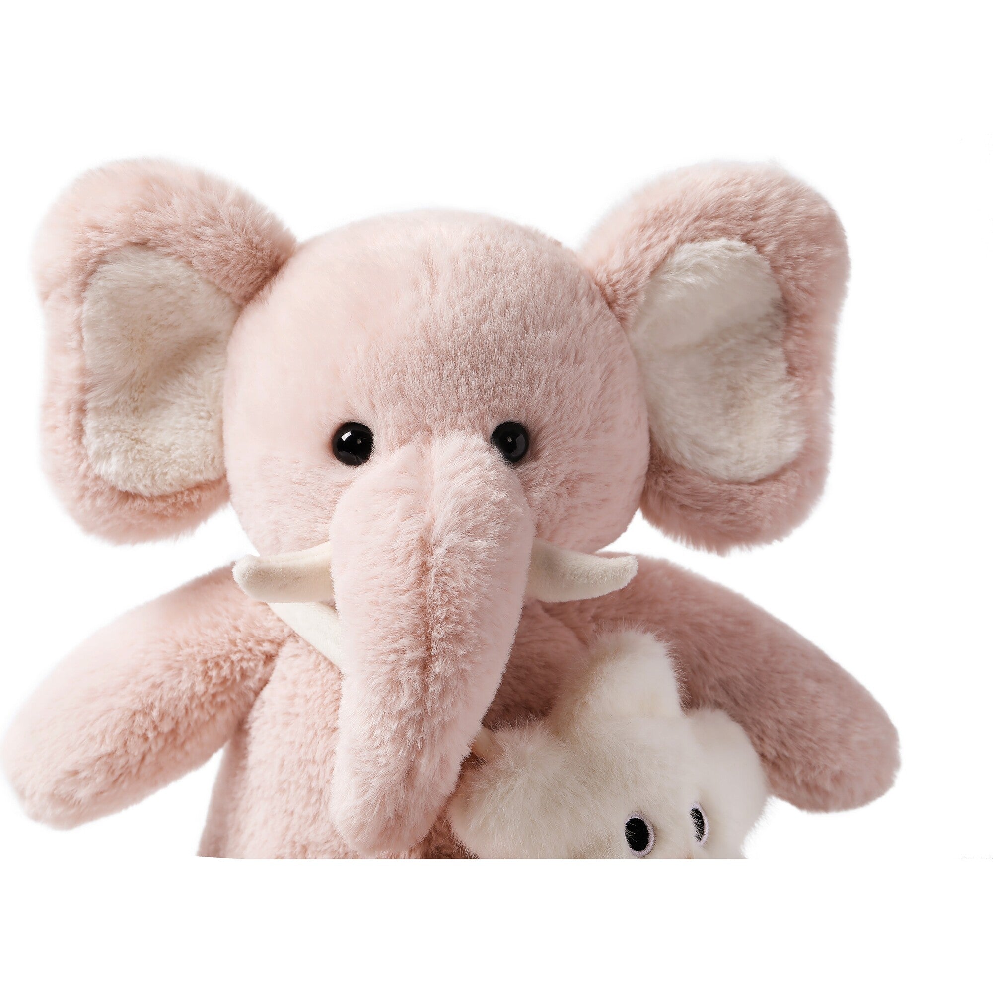 McHugs Ted Elephant School 10
