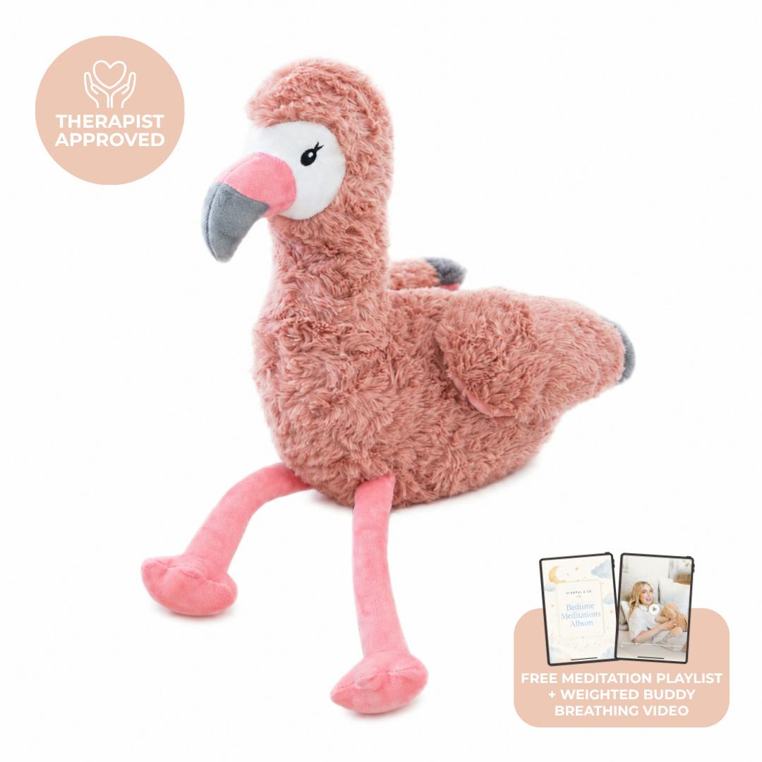 Francesca The Weighted Flamingo