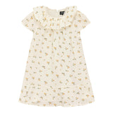 Floral Printed Back Zip Three-Quarter Sleeve Dress