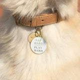 Nap Hard Play Hard Pet ID Tag