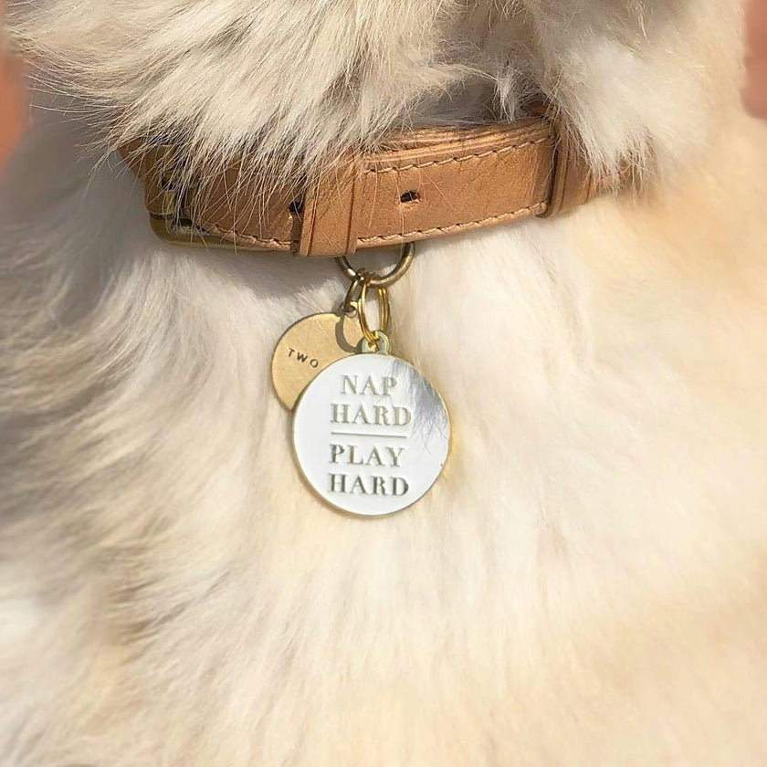 Nap Hard Play Hard Pet ID Tag