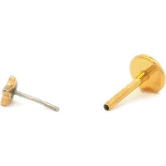 Star Titanium Flat Back Stud Earring