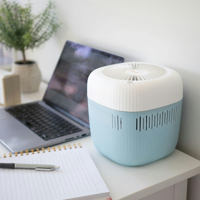 Evaporative  Humidifier, Cool Mist 0.5 Gal Top Fill, UV Light, Wick Filter