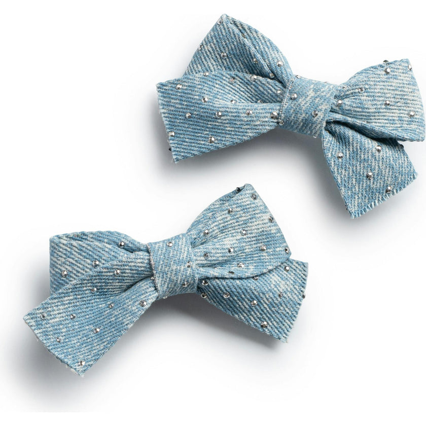 Jean Embellished Double Clip Set