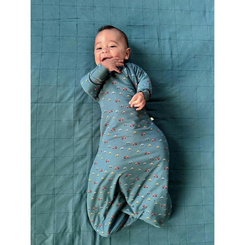 Long Sleeve Transitional Swaddle