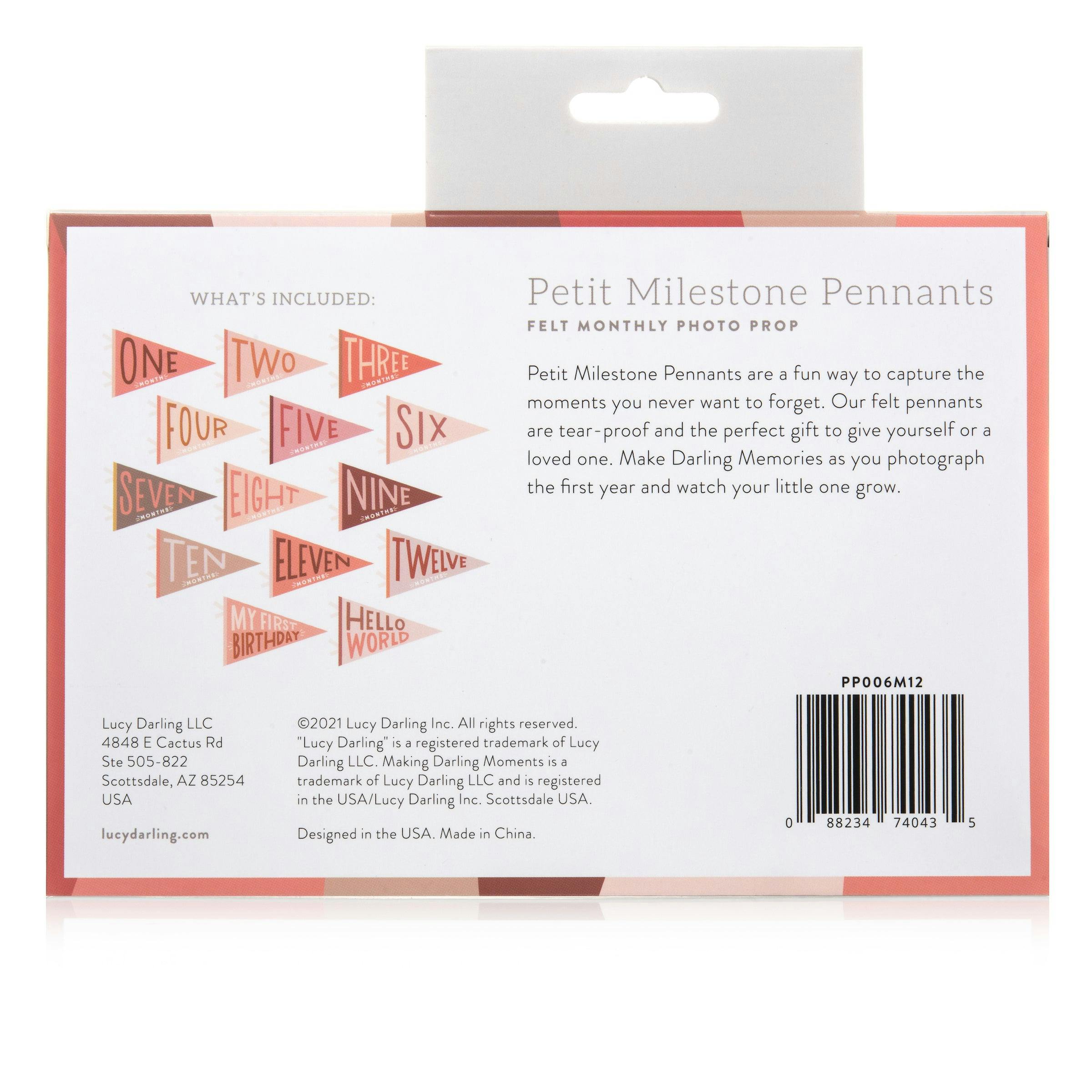Blushing Meadow Petit Milestone Pennant