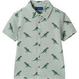 Boys Short Sleeve Cabana Set | Green Stripe Dino