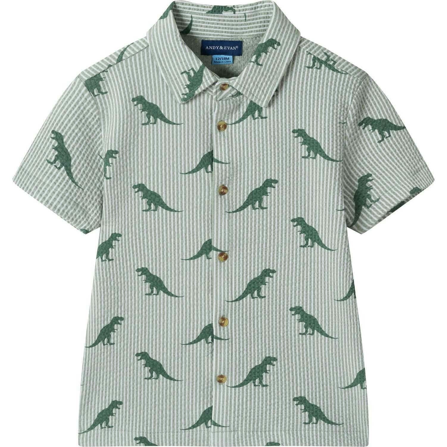 Boys Short Sleeve Cabana Set | Green Stripe Dino