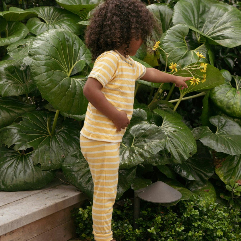 Andy Baby Legging, Yellow Stripe