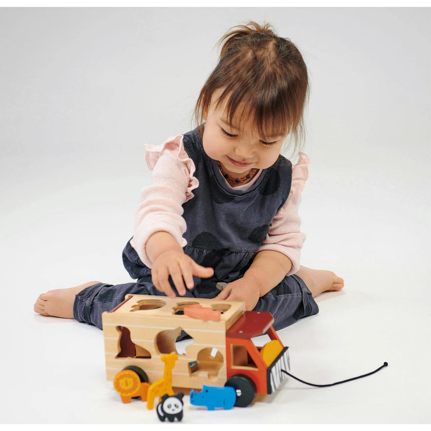 Shape Sorting Safari Truck