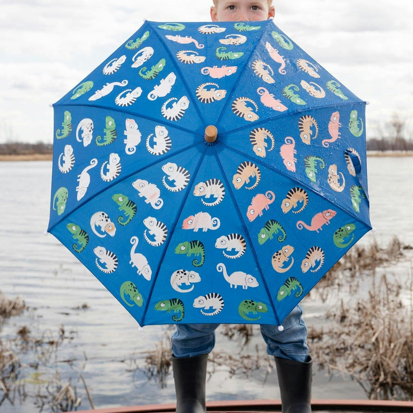 Color-Changing Umbrella