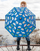 Color-Changing Umbrella