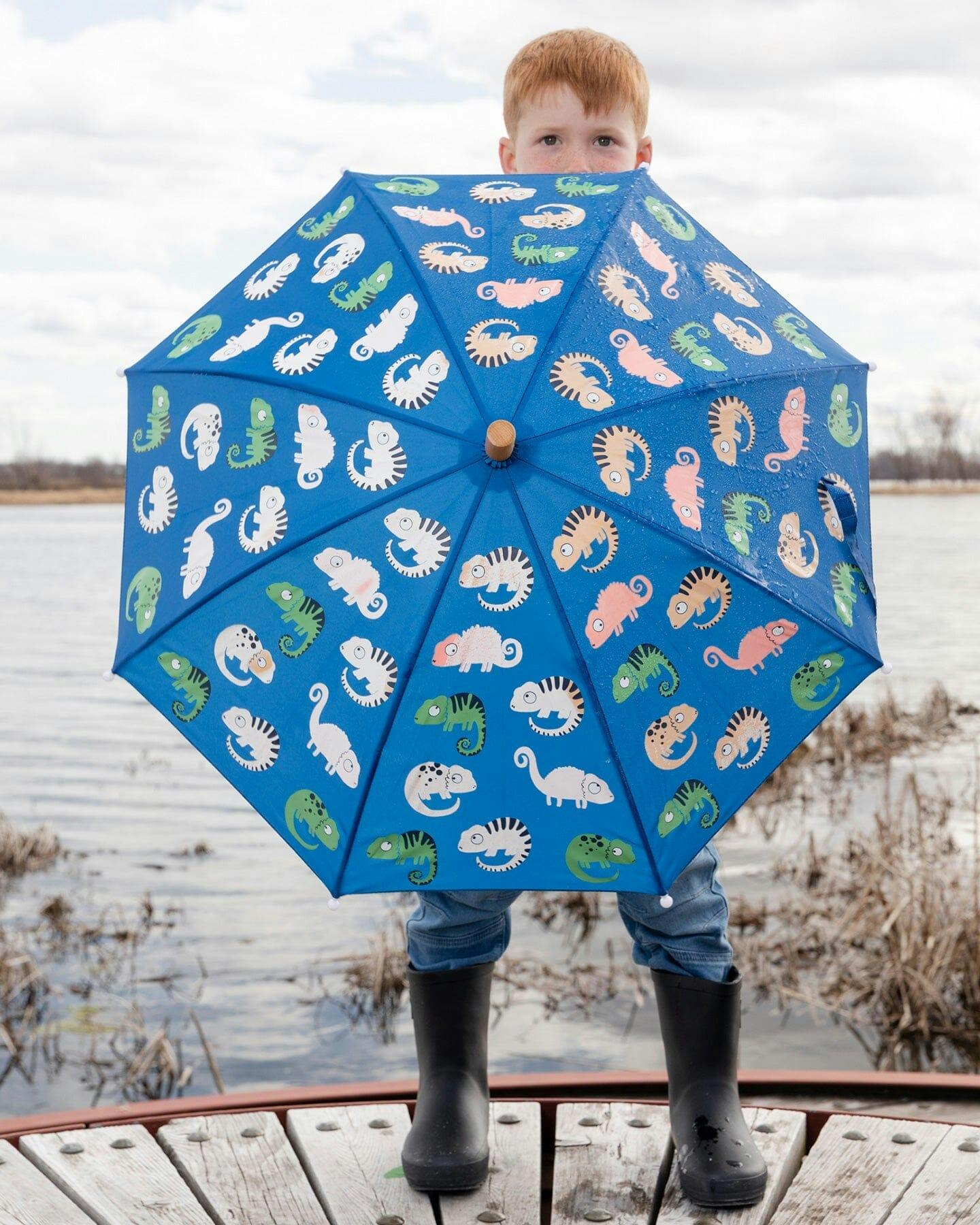 Color-Changing Umbrella
