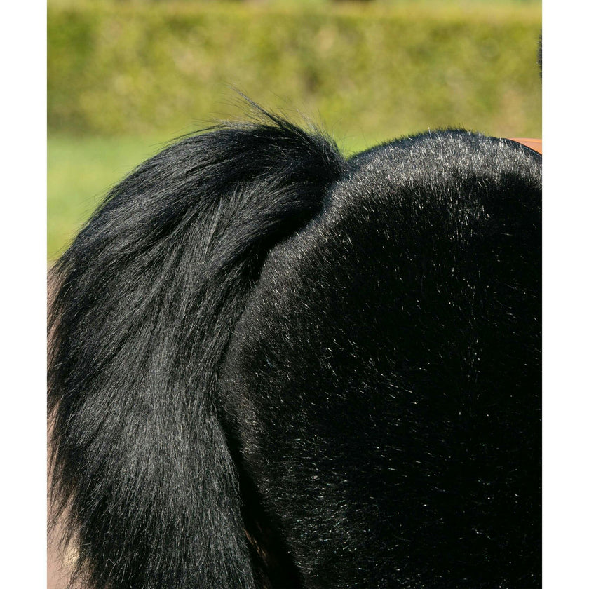 Model U® Horse Ride-On Toy Age 7+ – Black