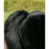 Model U® Horse Ride-On Toy Age 7+ – Black