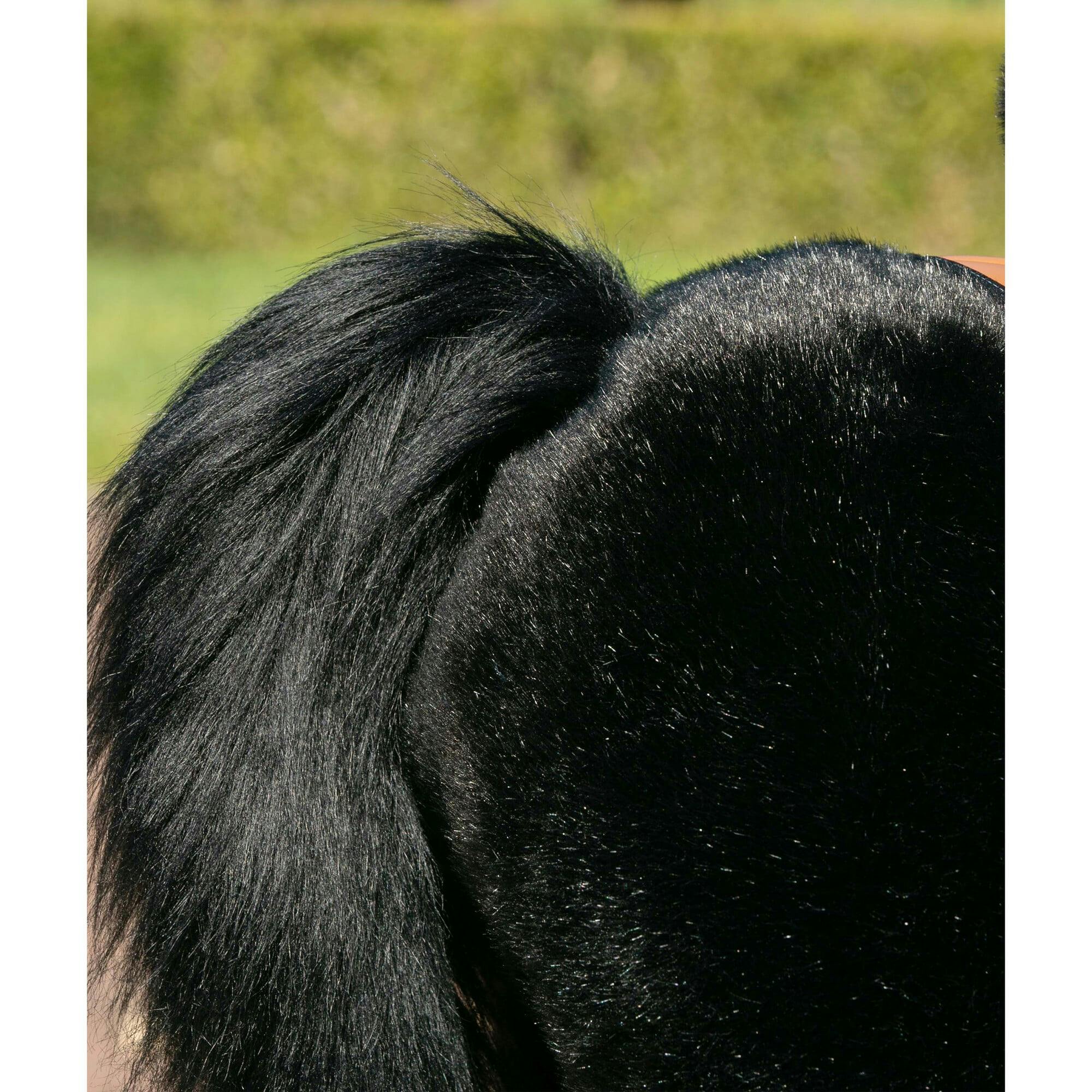 Model U® Horse Ride-On Toy Age 7+ – Black