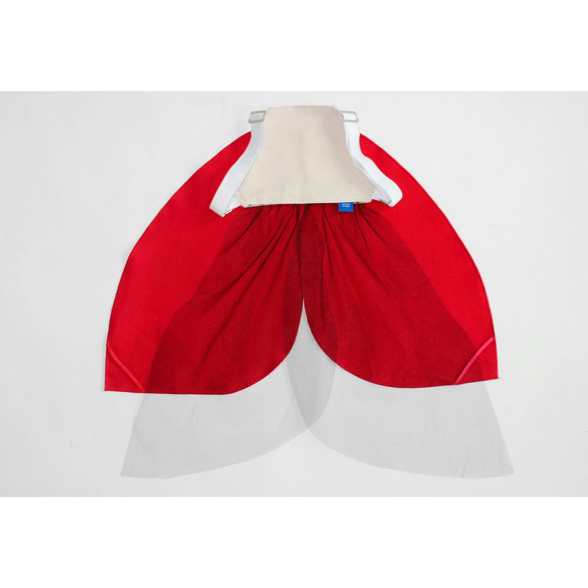 Costume Wings
