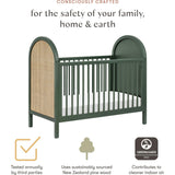 Bondi Cane 3-in-1 Convertible Crib