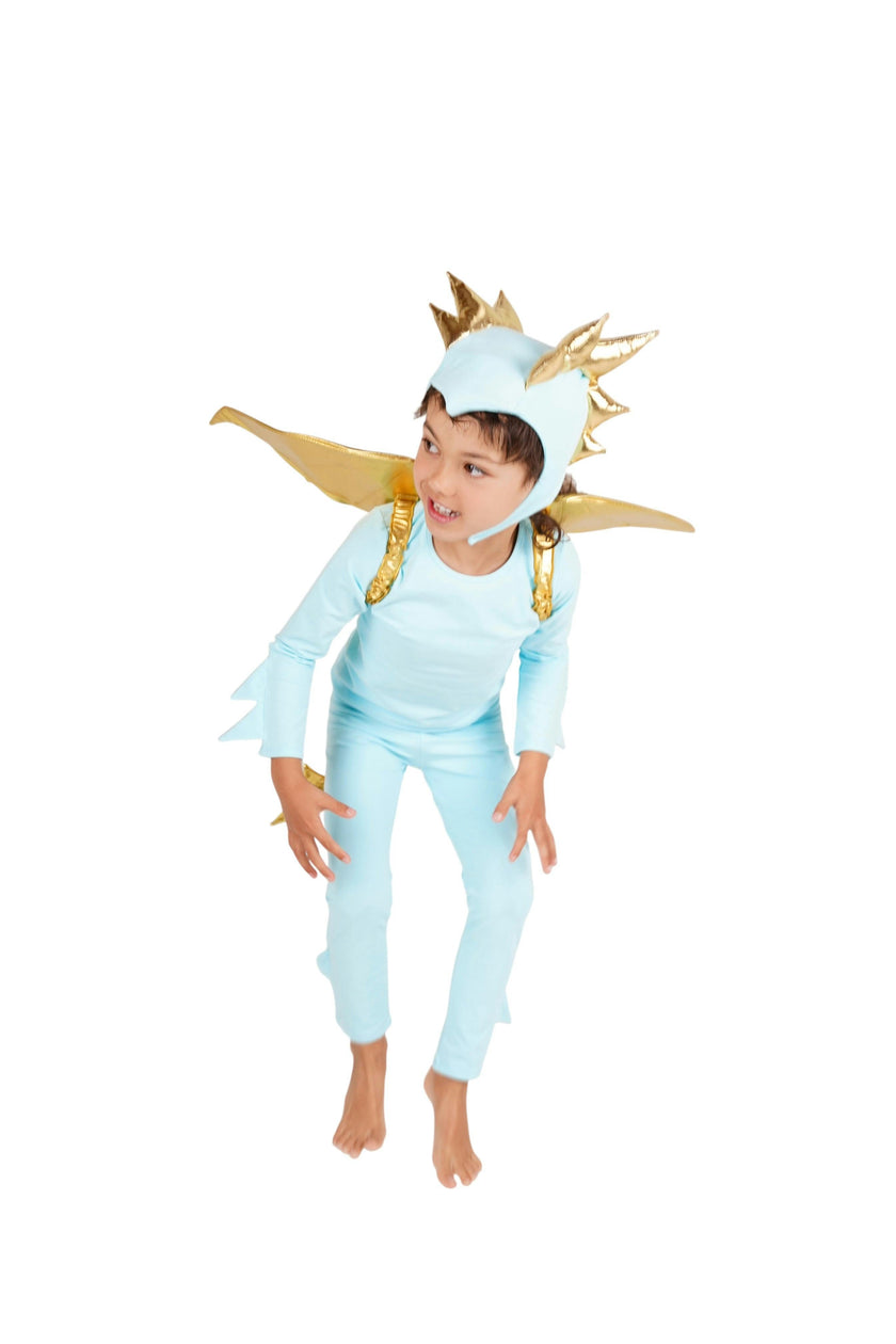 Sky Blue Dragon Halloween Costume