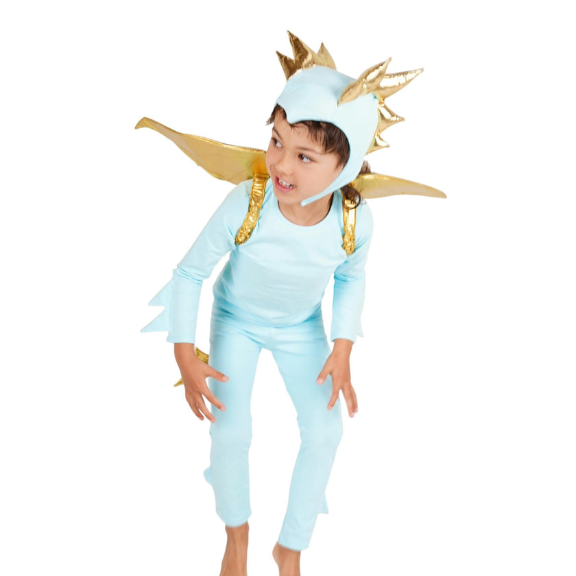 Sky Blue Dragon Costume