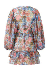 Iliana Sleeve Mini Dress