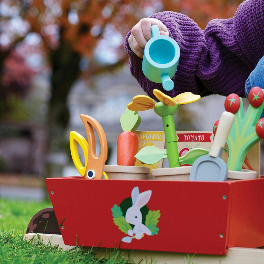 Garden Wheelbarrow Set