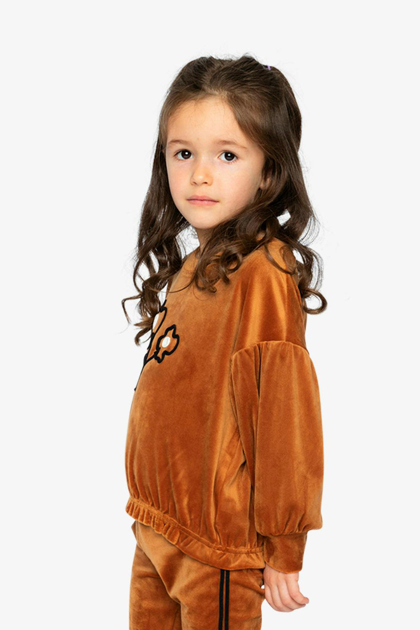 Velvet Top Brown