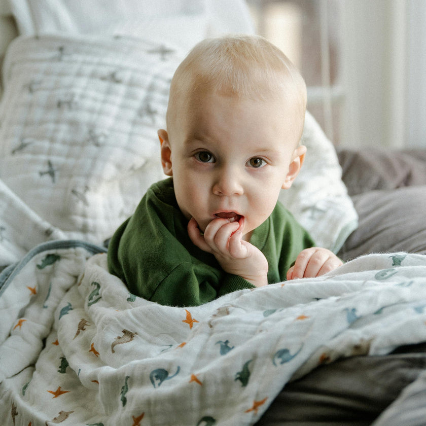 Original Organic Cotton Muslin Quilt - Little Dino