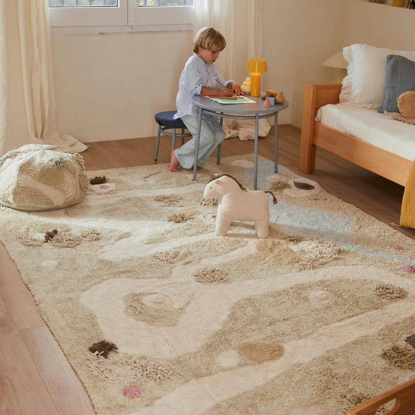Washable Rug Path