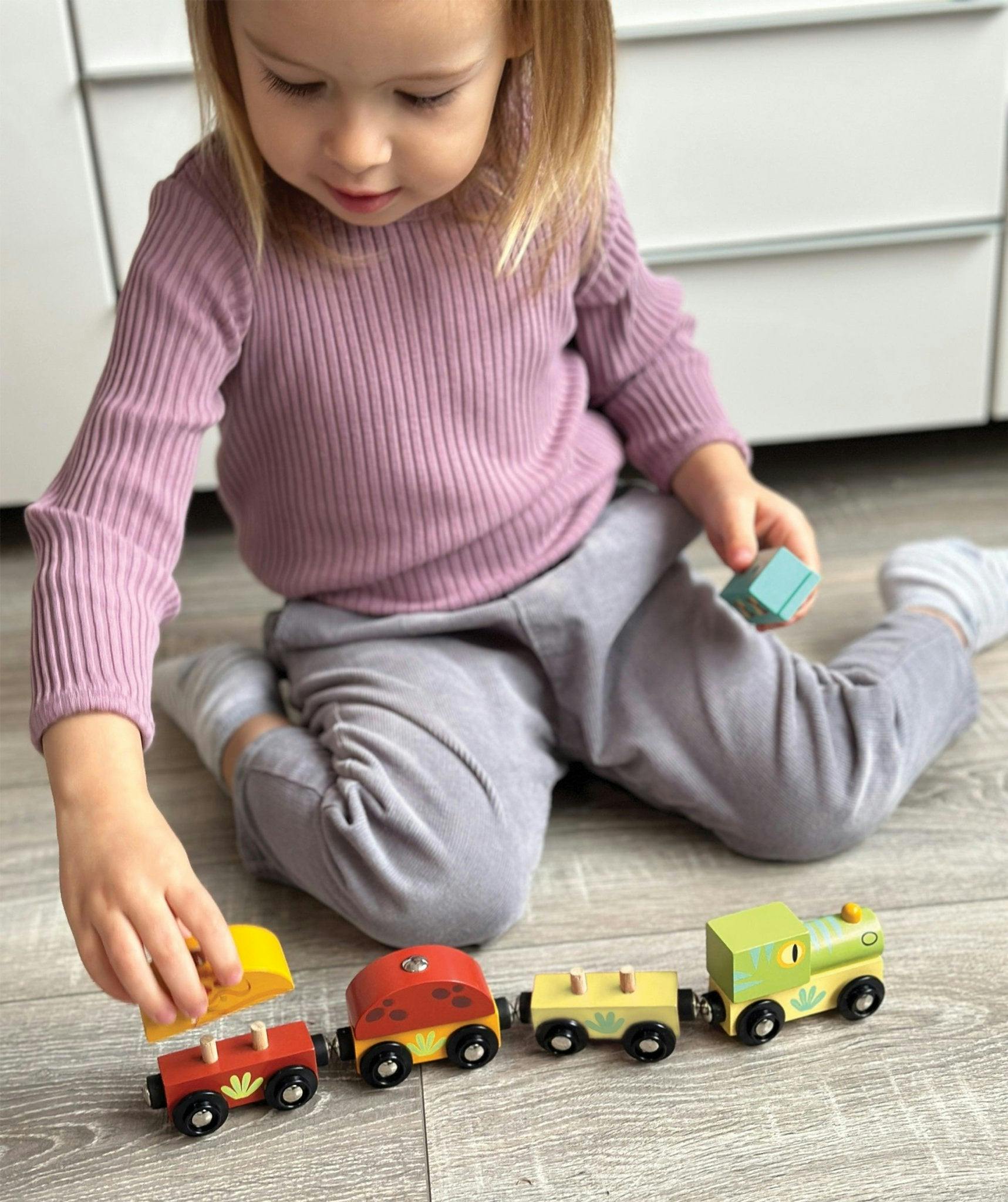 The Train
