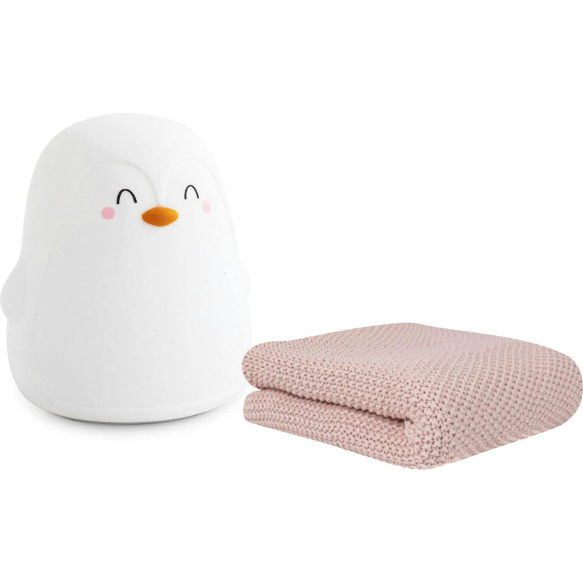The Polaris Tricot Blanket & Nightlight