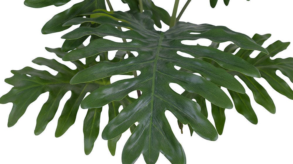 3' Faux Potted Philodendron