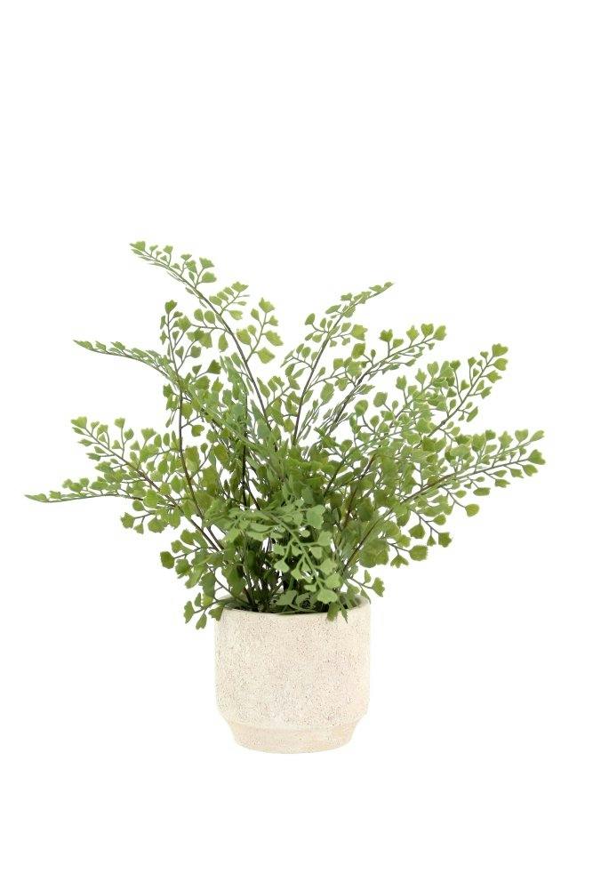 16" Faux Snake Plant & Fern Set
