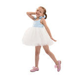 Light Blue Bodice Dress with White Tulle Skirt