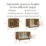 Babyletto Palma 8-in-1 Convertible All-Stages® Crib with Bassinet & Toddler Bed Kits
