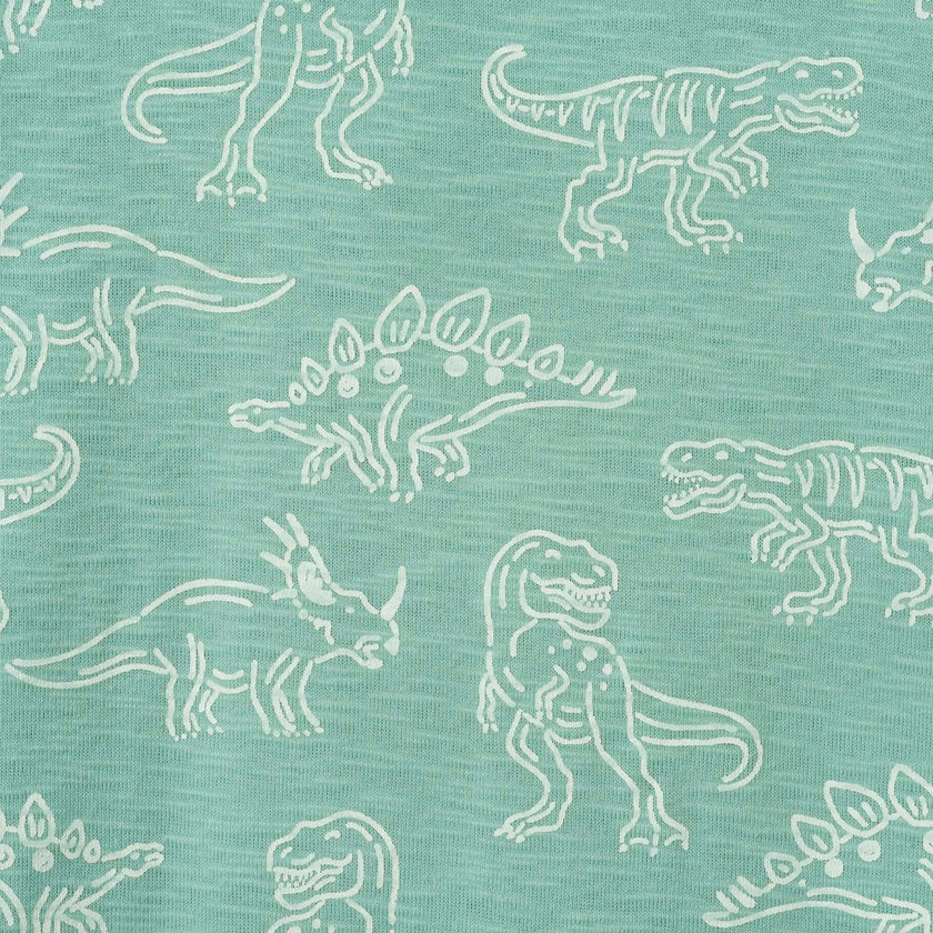 Boys Graphic Tee | Allover Dino