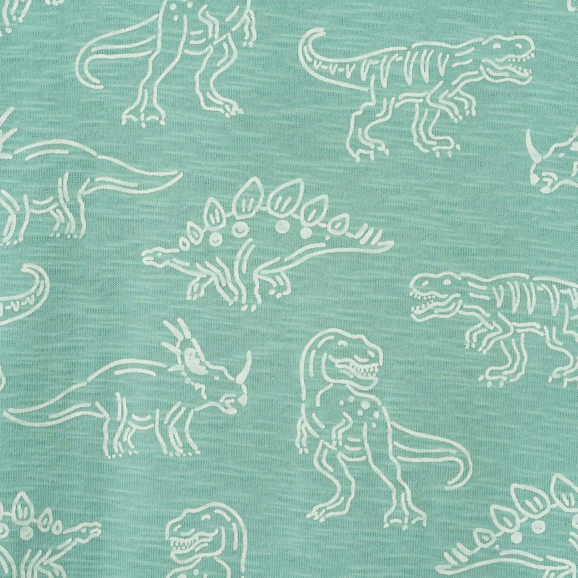 Boys Graphic Tee | Allover Dino