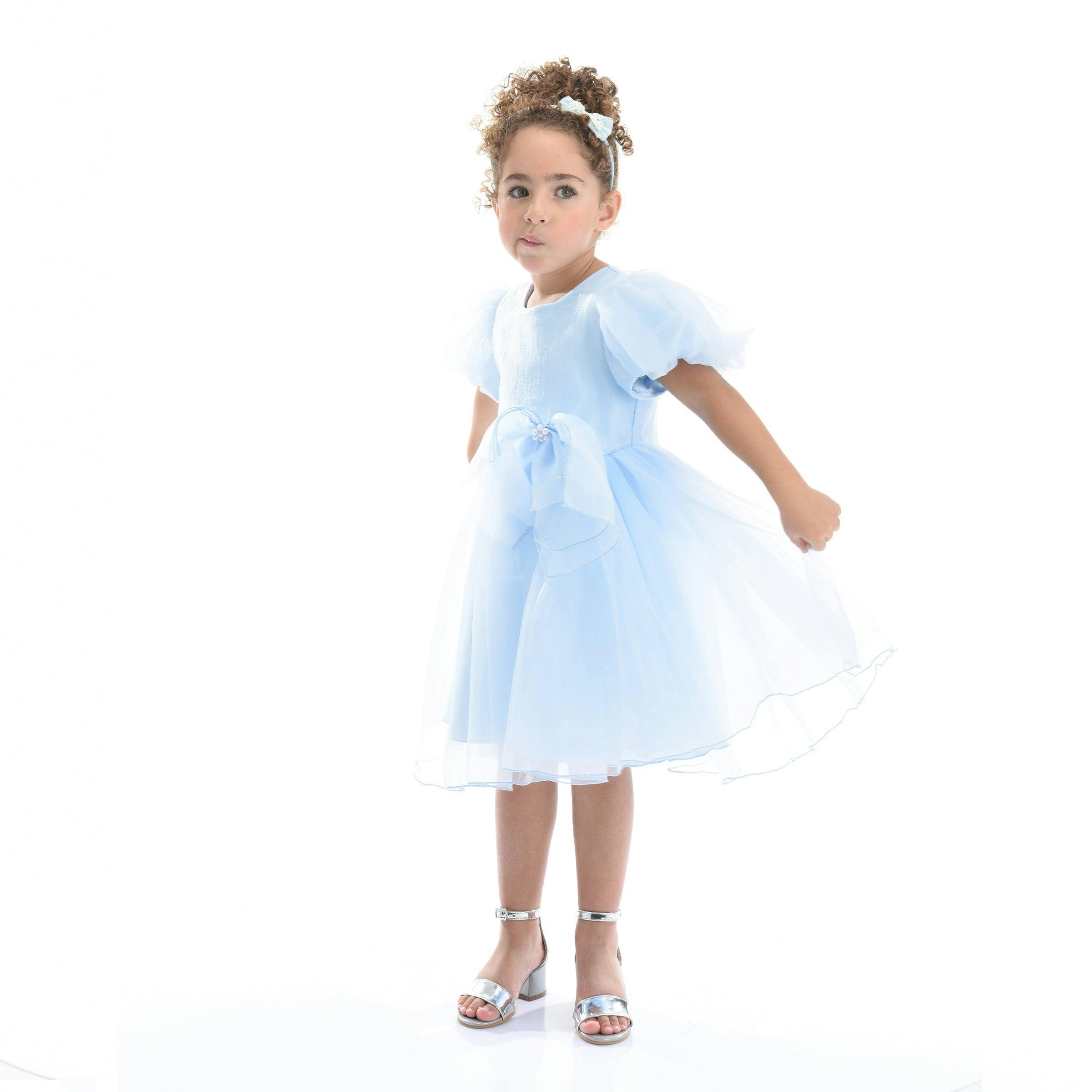 Blue Bow Organza Dress
