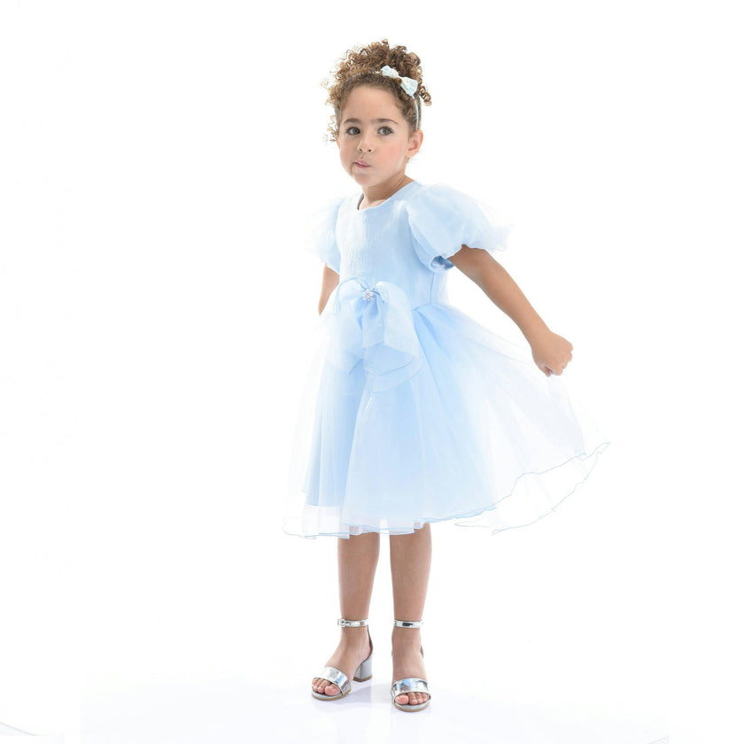 Blue Bow Organza Dress