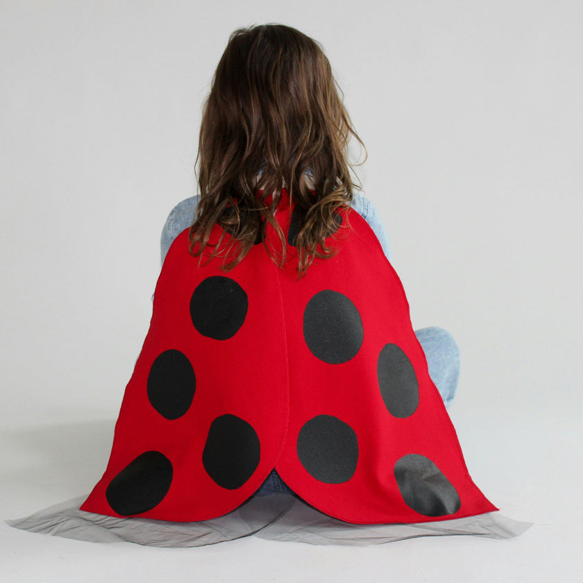 Costume Wings