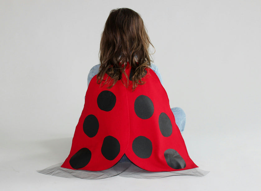 Costume Wings