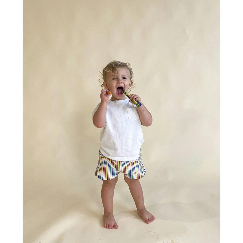 Fun Stripe Mini Swim Trunk
