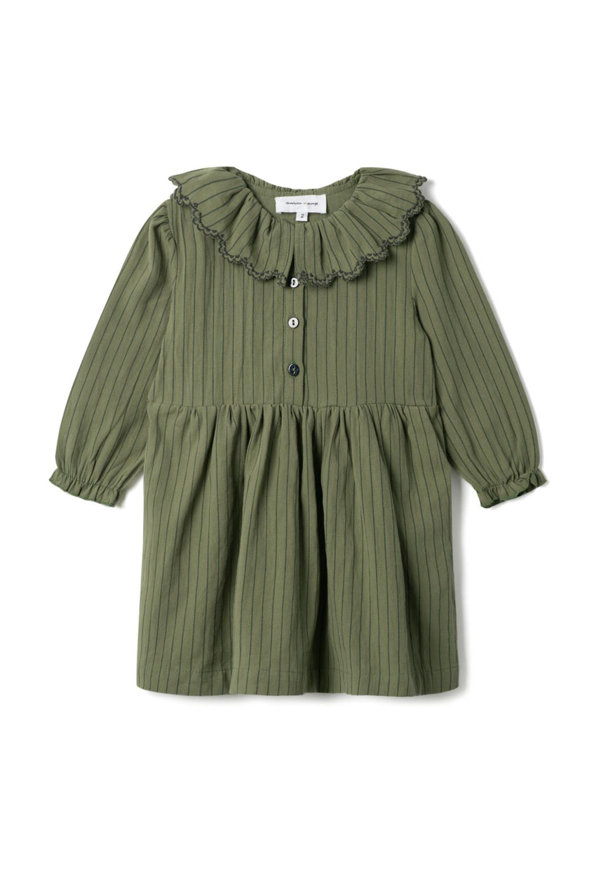 Woven Striped Embroidered Button Front Dress